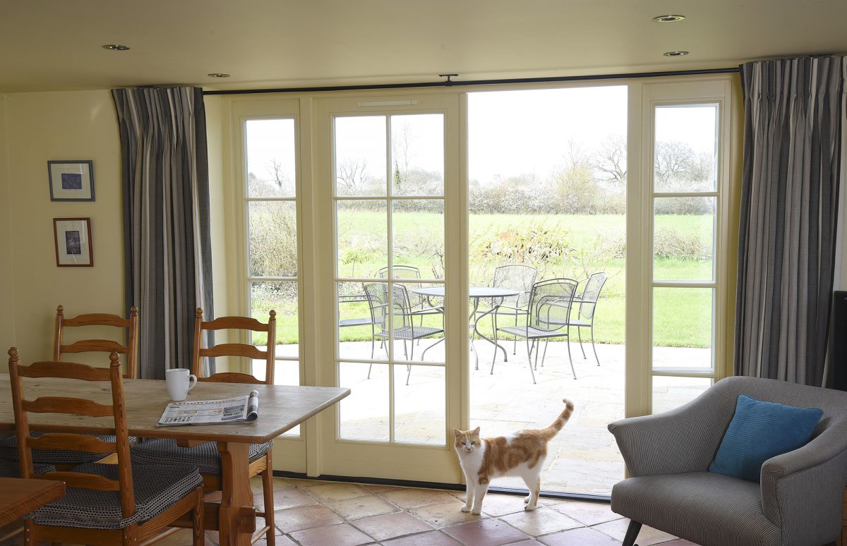 French doors with sidelights featuring Henry the cat
