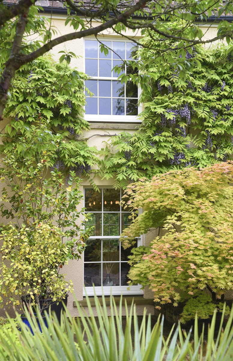 Slim sash windows finished in a colour complementary to Farrow & Ball White Tie