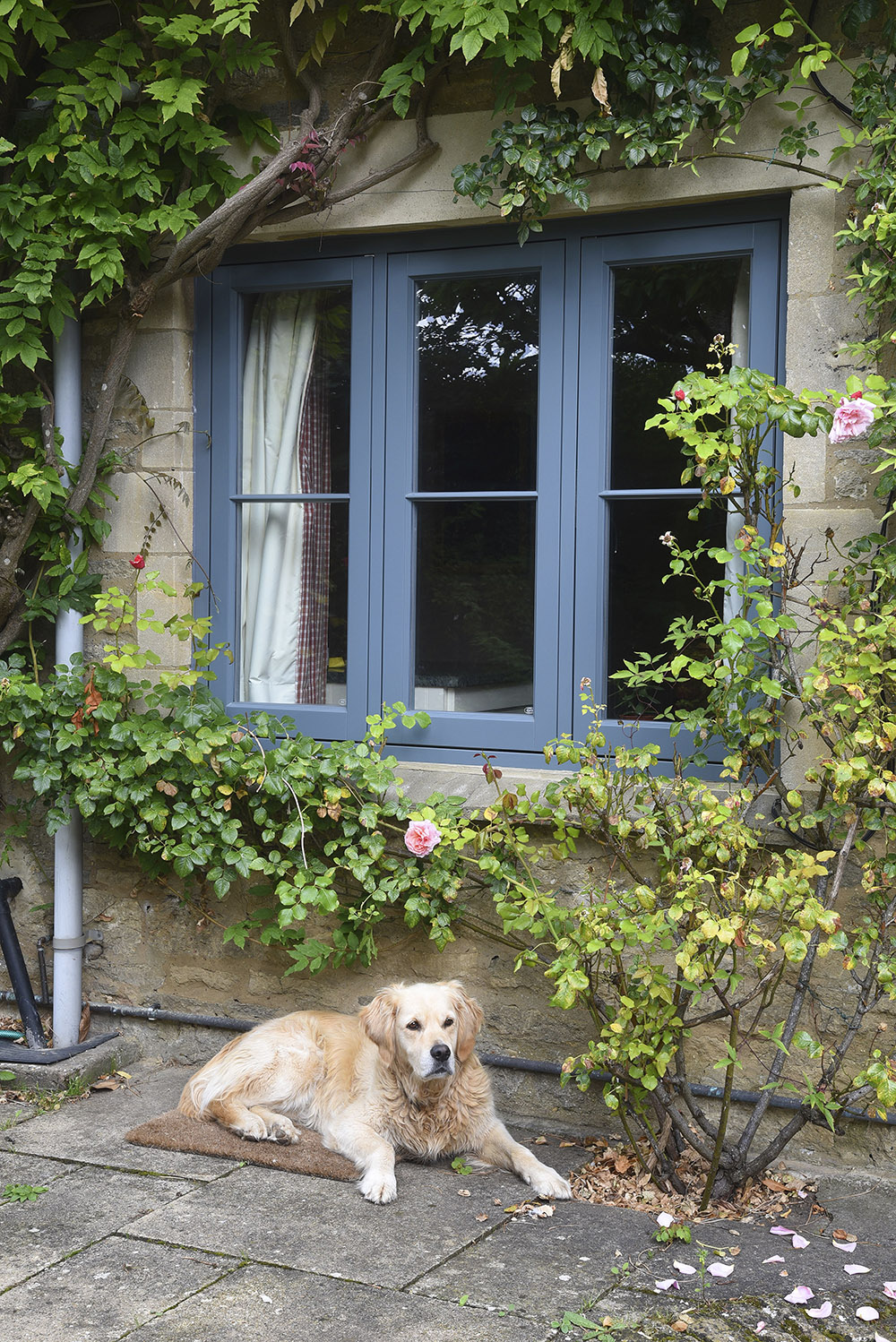 Timber flush casement windows finished in ‘Urbane Grey’ and dog